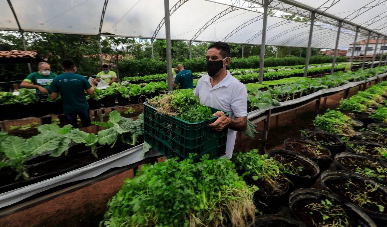 interior de uma horta social mostrando um homem com máscara carregando uma caixa com verduras